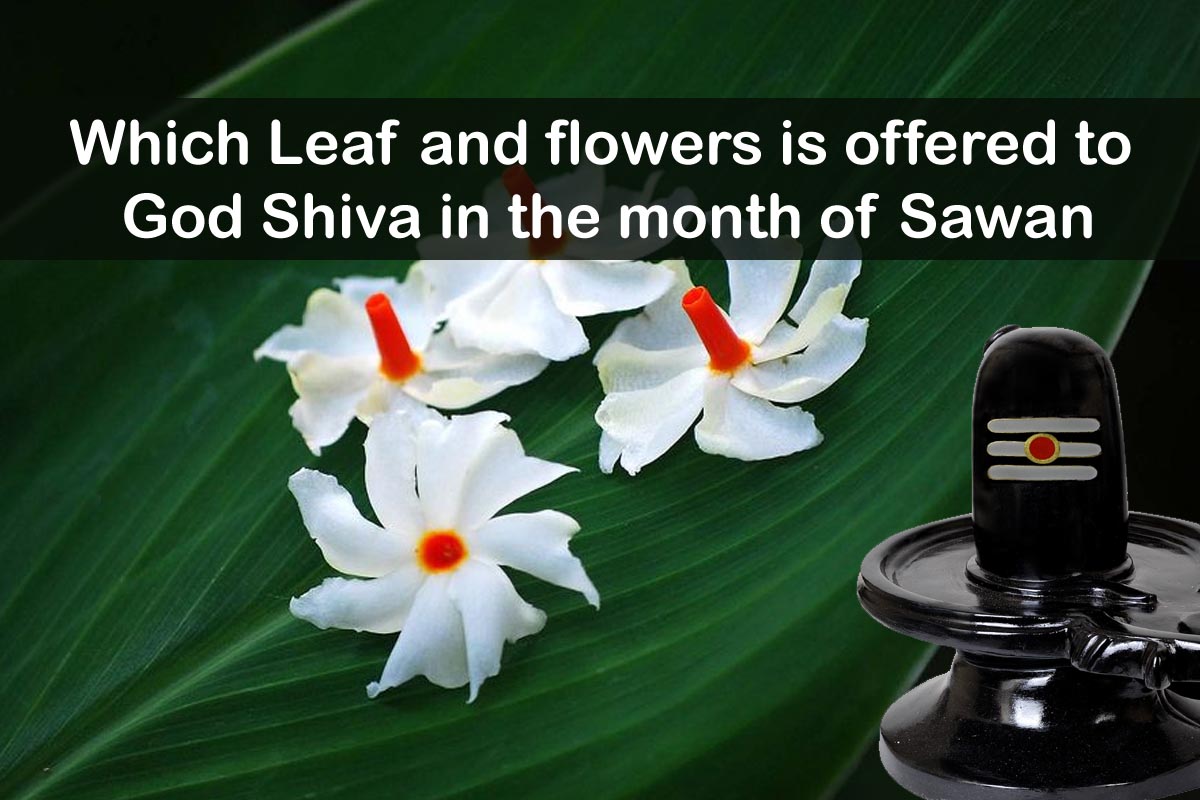 Which Color Flower Is Offered To Lord Shiva