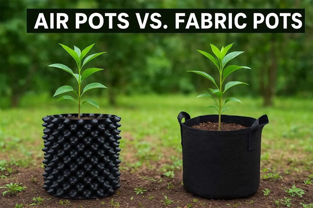 What Are Air Pots and Fabric Pots? – A Complete Guide for Gardeners