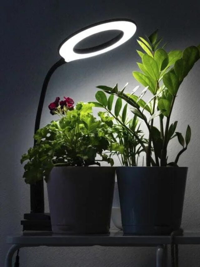 best artificial light for plants