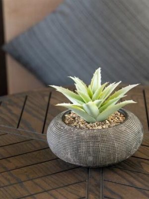cropped-Table-Centerpieces-for-Succulents-1.jpg