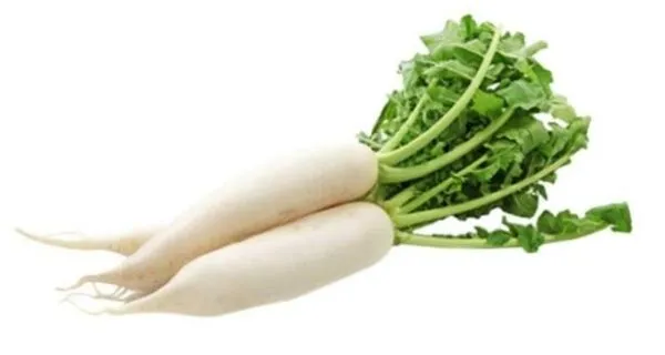 Know More About the Roots that are Consumable