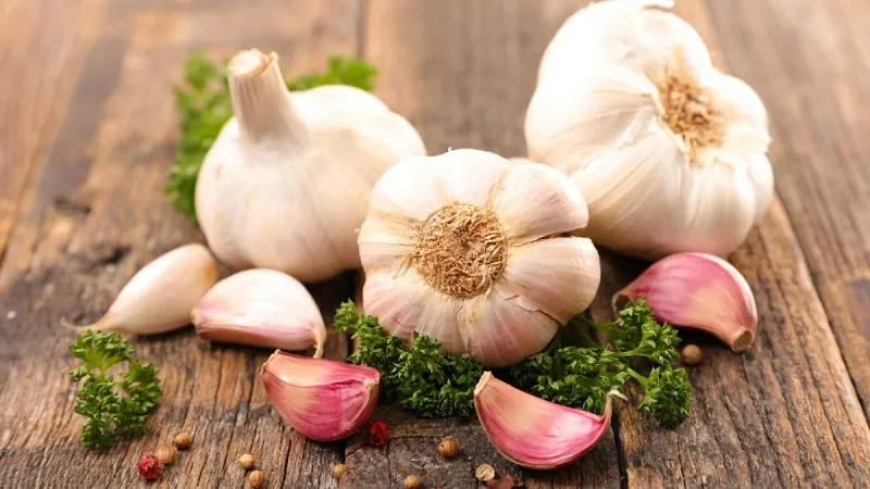 Garlic 1