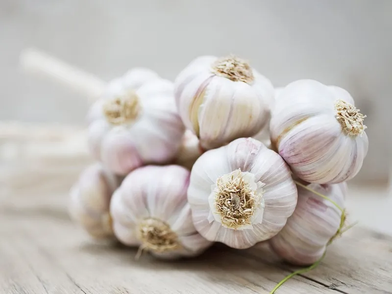 Health Benefits Of Garlic