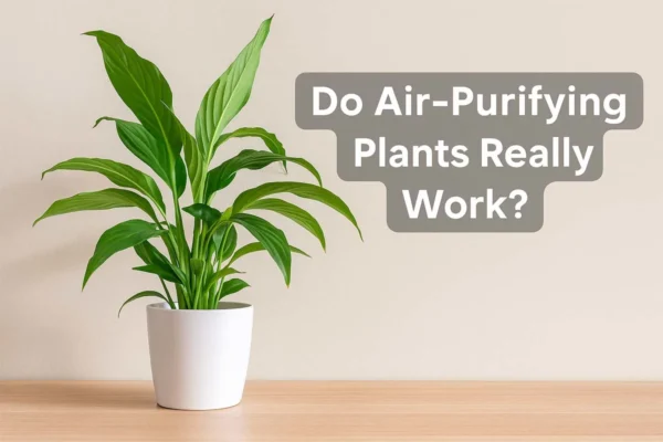 Do Air-Purifying Plants Really Work? Science vs. Hype