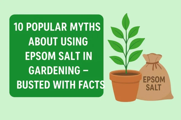 Why Epsom salt became so popular in gardening