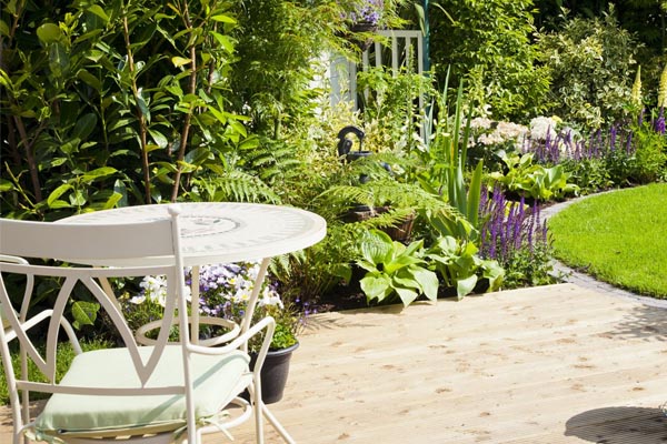 how to renovate garden in budget